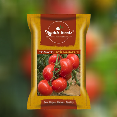 Tomato Pack